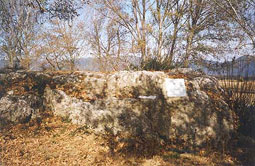 �� ���� ��� ��. ������ ���� ���������