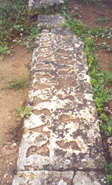 � �������� ��� ���������� ���� ������