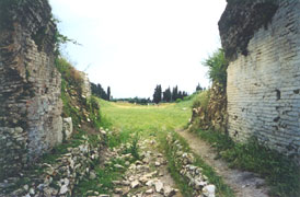 �� ������ - The Stadium