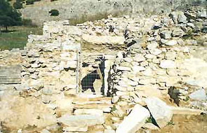 � ������ ��� ��. ������